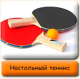 Настольный теннис Настольный теннис