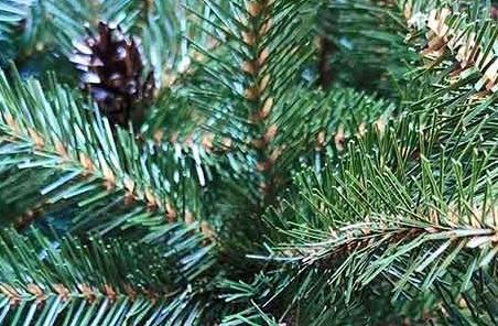 Искусственная елка Christmas Tree Ель ERIDA с шишками BX06-1842T 1,8м