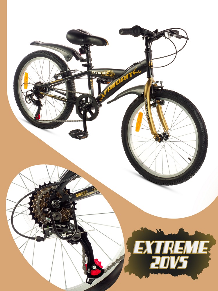 Детский велосипед Favorit Extreme 20VS EXT20V10GD