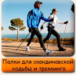 Палки для скандинавской ходьбы и треккинга Палки для скандинавской ходьбы телескопические