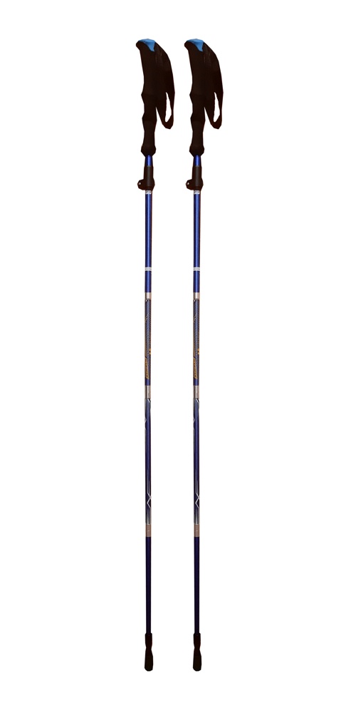 Палки телескопические для скандинавской ходьбы Fora XG-03 Trekking Compact в чехле, 65-135 см синий - фото6