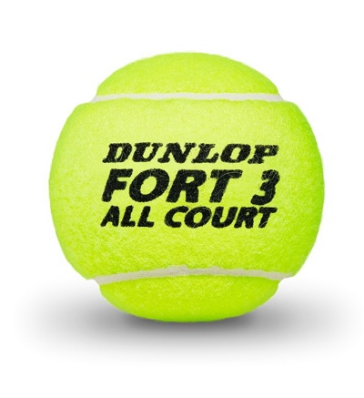 Мячи для тенниса Dunlop Fort All Court 4 шт 622DN601316 - фото2
