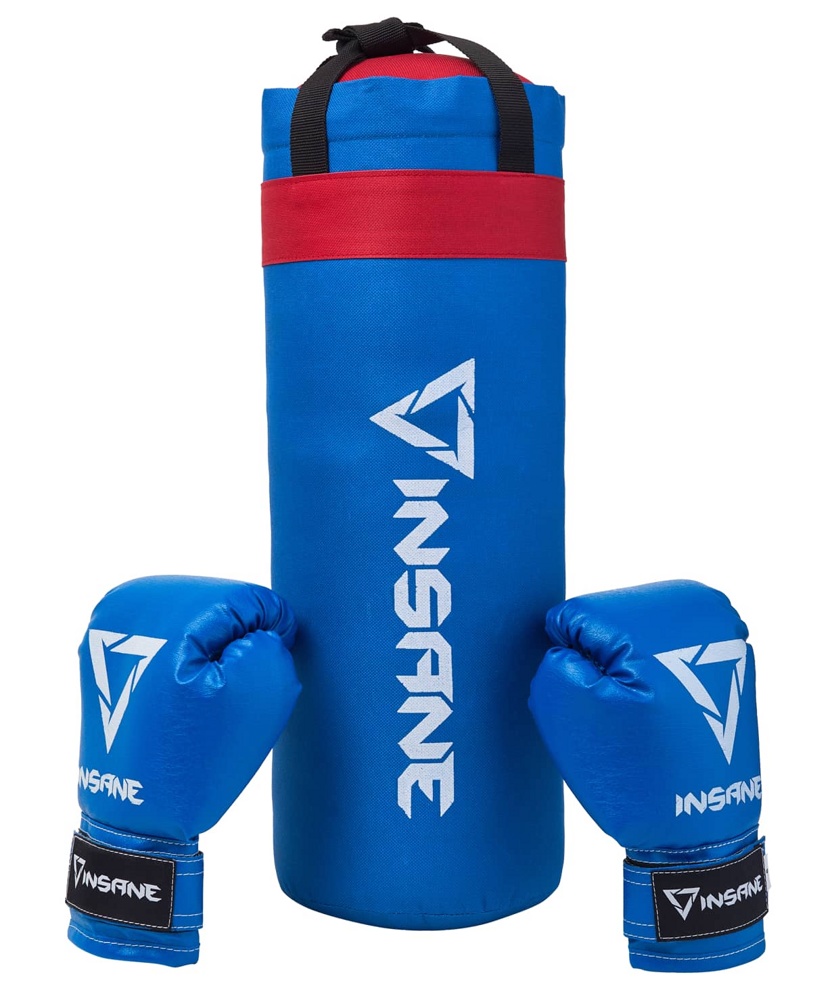 Боксерский мешок и перчатки INSANE FIGHT, синий, 45х20 см, 2,3 кг, 6 oz - фото