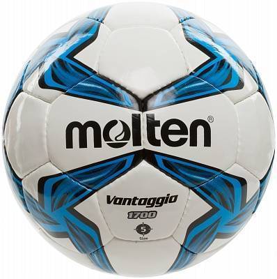 Мяч футбольный №5 Molten F5V1700 - фото