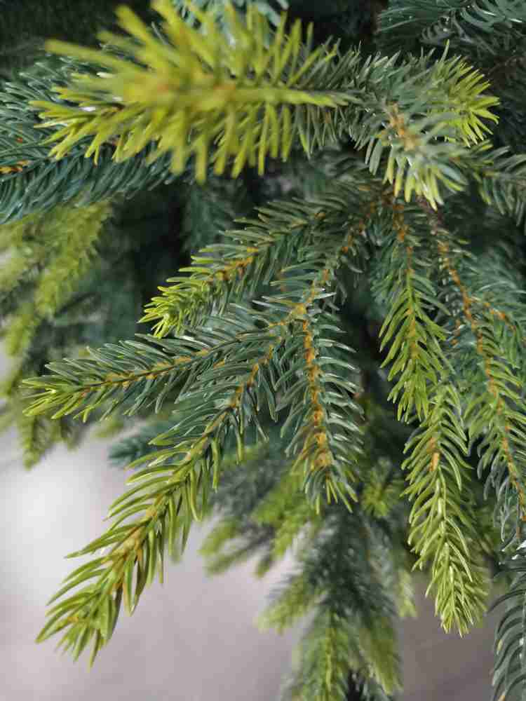 Искусственная елка Christmas Tree Ель BRISTOL BLC-18 1,8м