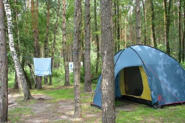 Палатка туристическая 3-х местная Tramp Bell 3  (V2) (5000 mm) - фото2