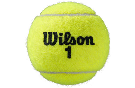 Мячи теннисные Wilson Roland Garros All Court (4шт) WRT116400 - фото2