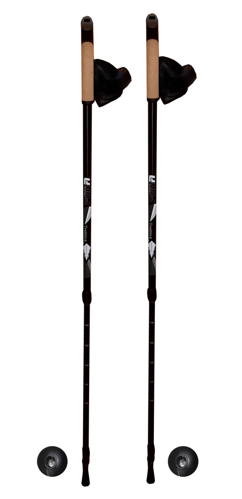 Палки телескопические для скандинавской ходьбы Fora XG-04, 65-135 см черный - фото